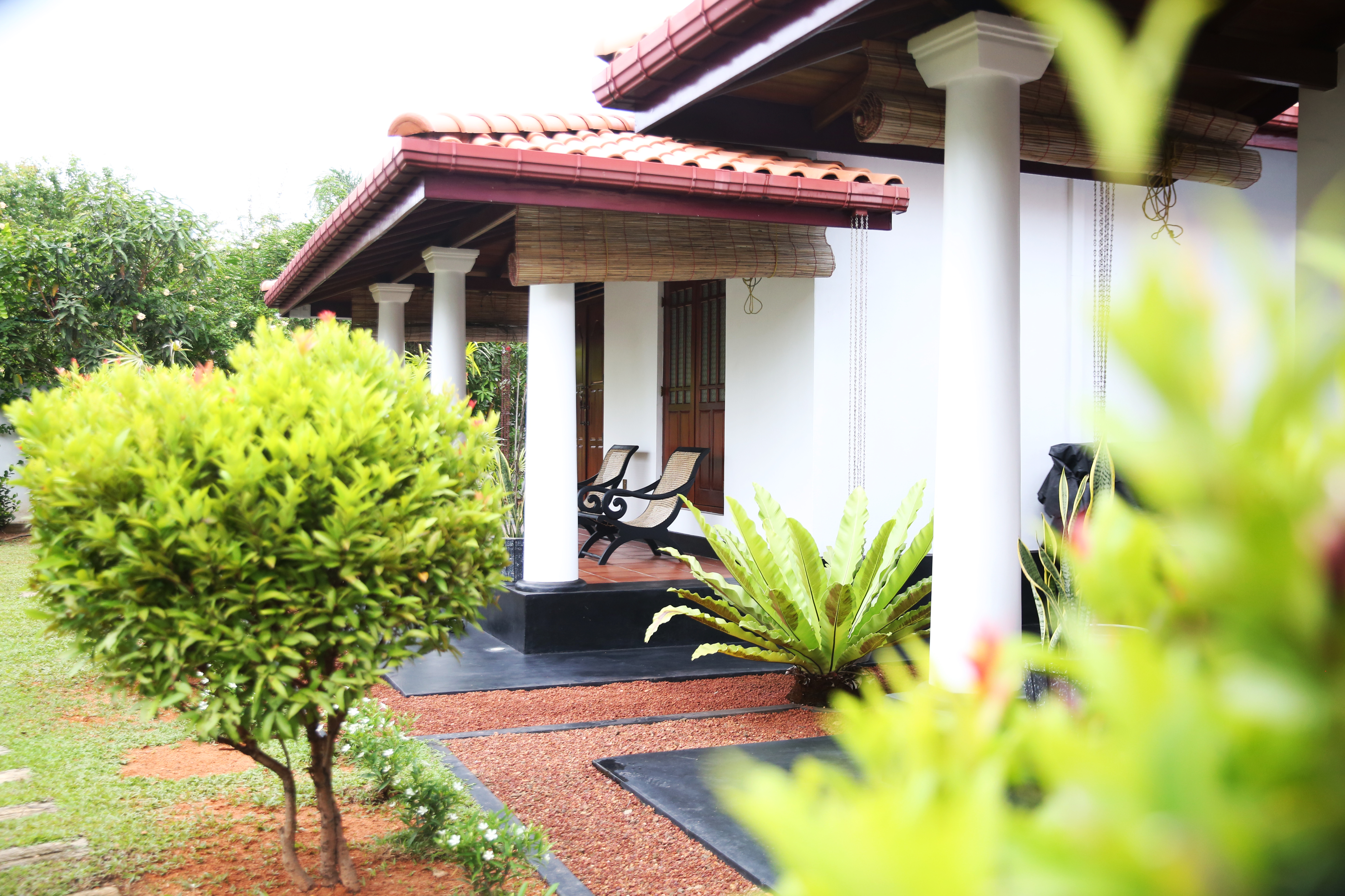 Villa Front Pathway and Tropical Garden