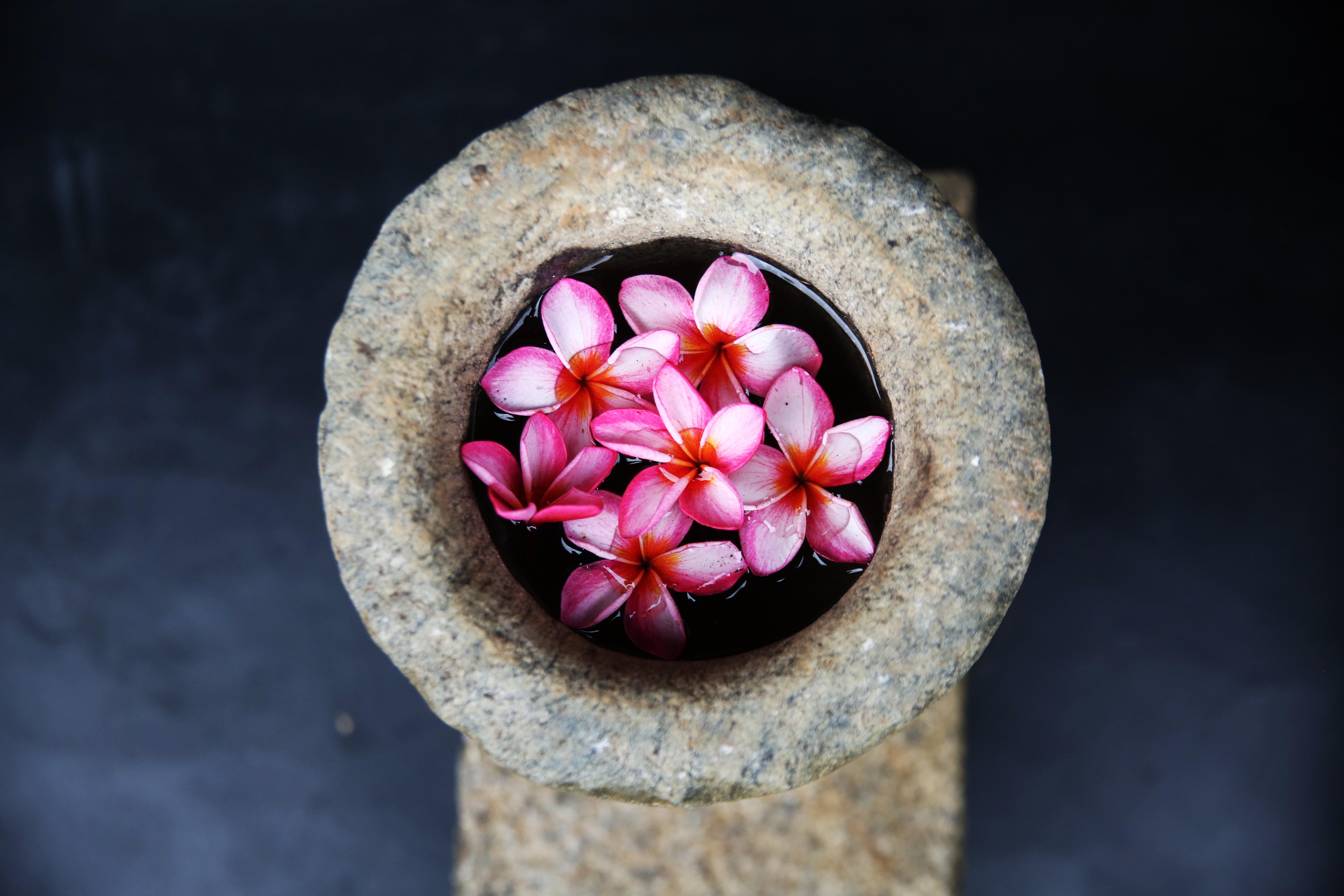 Traditional Sekkuwa Stone Vessel with Flowers
